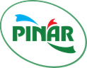 pinar-img